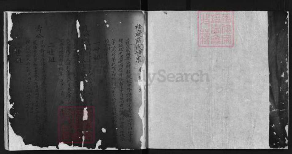 江西省上饶市戴氏族谱-桂岩戴氏世系 [不分卷].pdf电子版预览图3