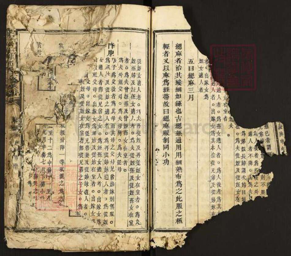 江西省赣州市石城县琴江镇邓氏族谱-宁石(土必)子(土非)邓氏三修族谱.pdf电子版预览图3