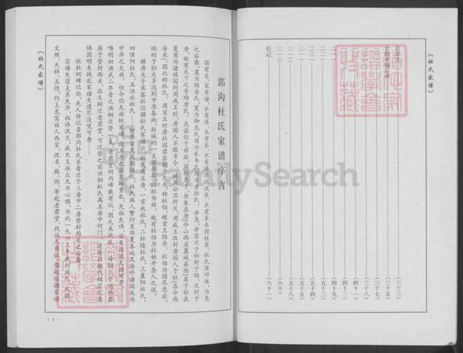 河南省郑州市登封市石道乡杜氏族谱-杜氏家谱.pdf电子版预览图3