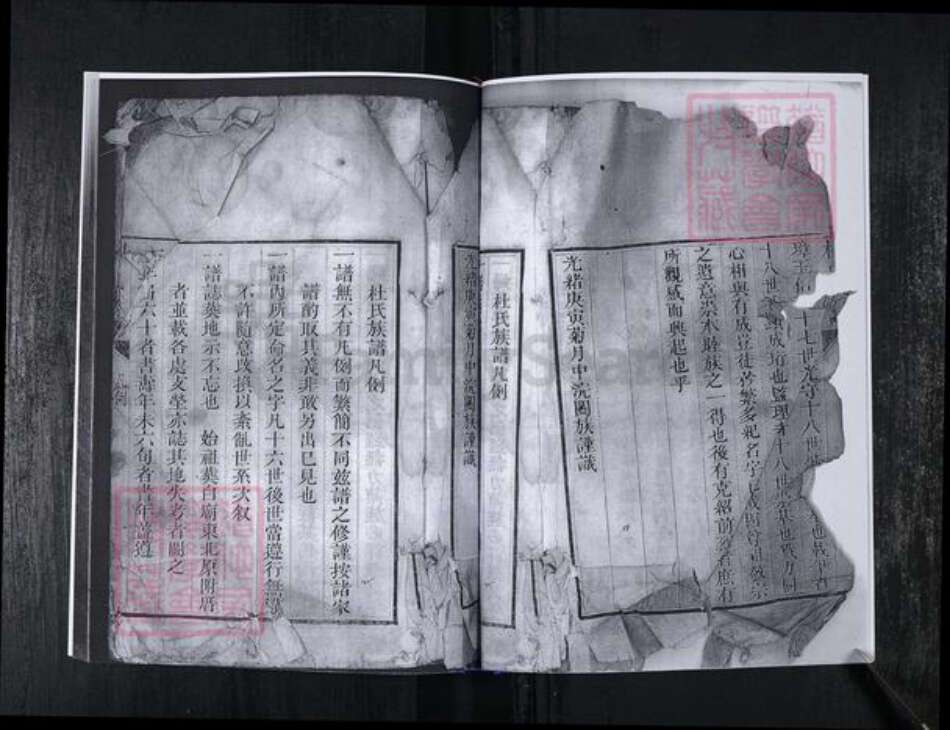 山东省青岛市崂山区杜氏族谱-会场社区杜氏族谱.pdf电子版预览图3