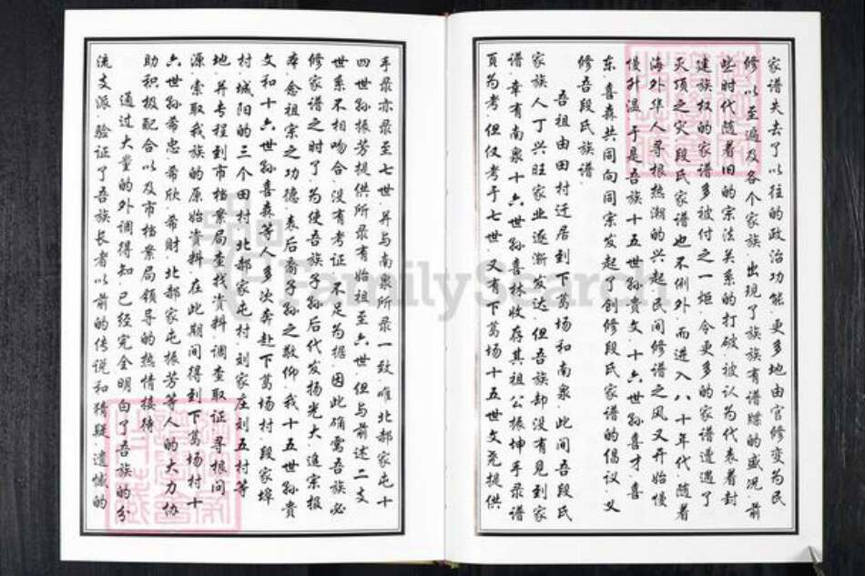 山东省青岛市段氏族谱-段氏族谱.pdf电子版预览图3