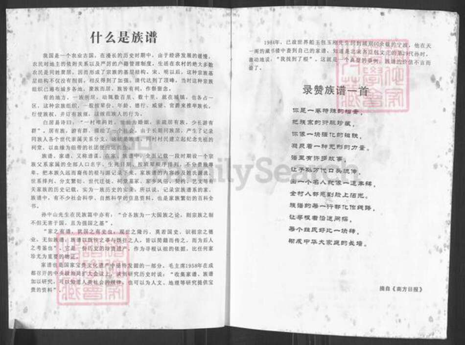 广东省江门市台山市方氏族谱-下川方氏族谱.pdf电子版预览图3