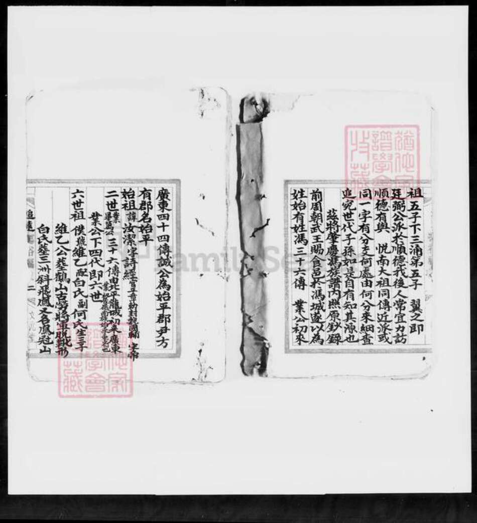 广东省佛山市顺德区冯氏文元堂族谱-冯裕福堂家谱.pdf电子版预览图3