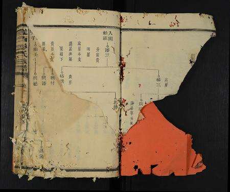 福建彭氏族谱-陇西彭氏族谱 [9卷].pdf电子版预览图3