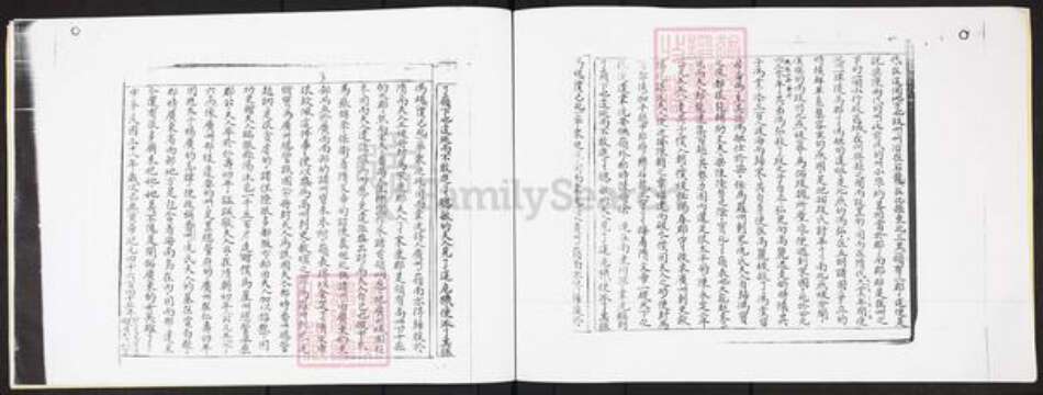 广东省广州市白云区冯氏维世堂族谱-冯氏族谱.pdf电子版预览图3