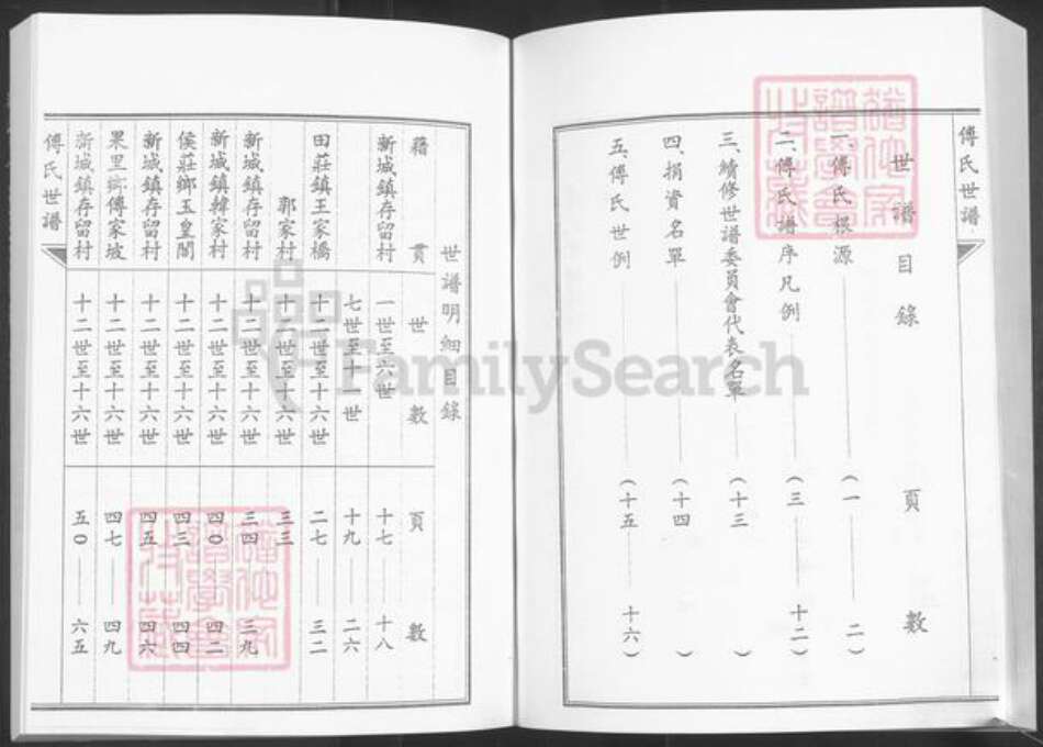 山东省淄博市桓台县新城镇傅氏族谱-傅氏世谱.pdf电子版预览图3