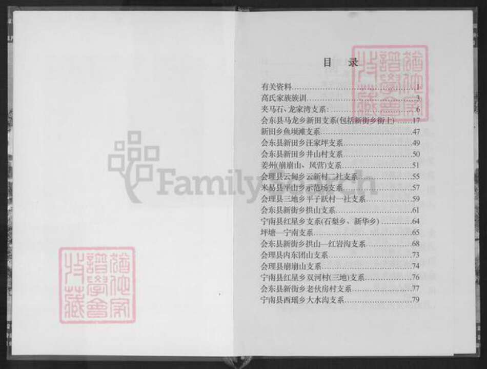 四川省凉山彜族自治州会东县堵格镇高氏族谱-夹马石高氏族谱.pdf电子版预览图3