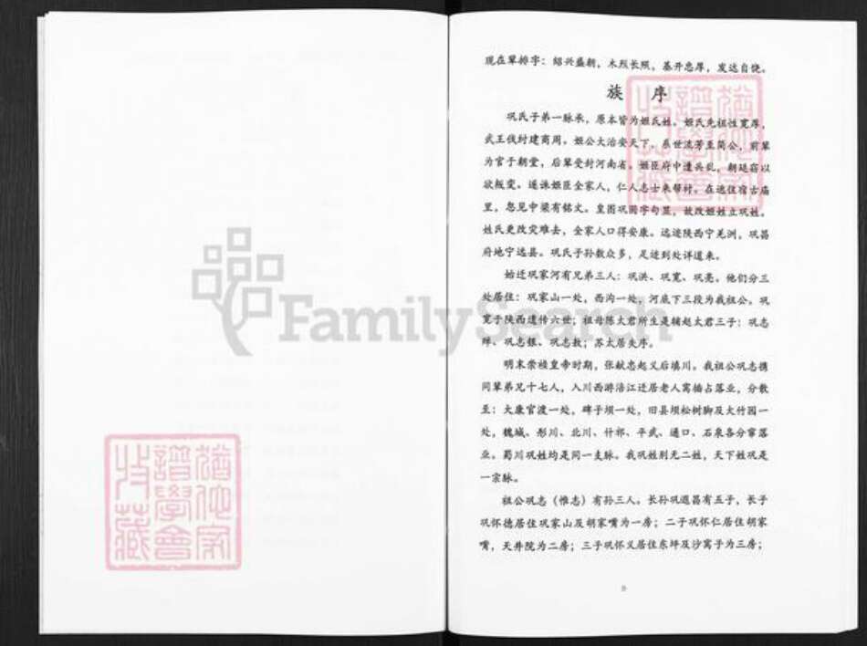 四川省绵阳市江油市大康镇巩氏族谱-巩氏族谱.pdf电子版预览图3