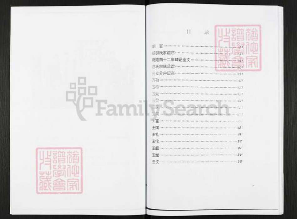 河南省焦作市沁阳市王曲乡郭氏族谱-郭氏家谱.pdf电子版预览图3