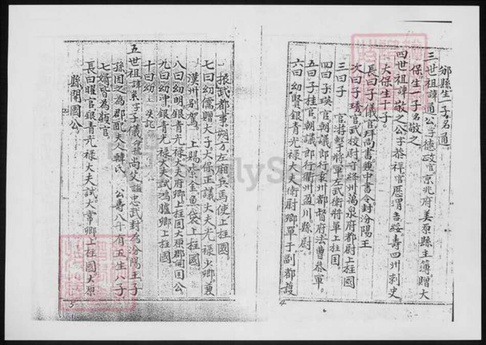 山西省吕梁市交城县郭氏族谱-郭氏族谱.汾阳流传族谱.pdf电子版预览图3