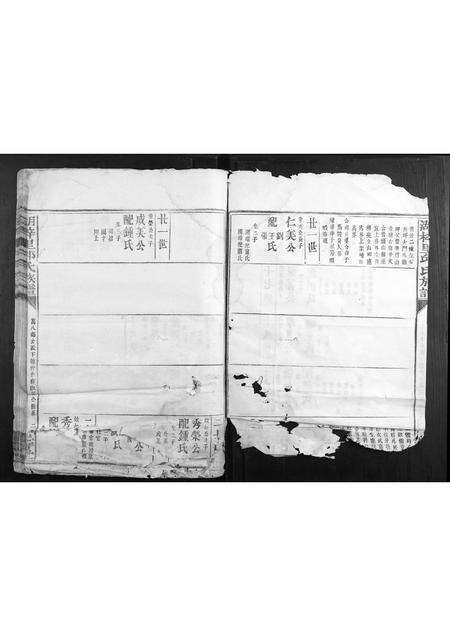 福建邱氏族谱-湖梓里邱氏族谱.pdf电子版预览图3