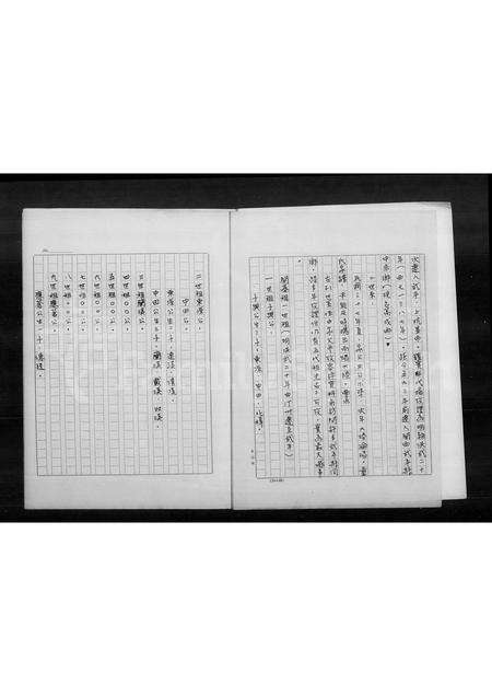 福建童氏族谱-褔建省闽西武平县中赤乡童屋雁门郡童氏祖谱.pdf电子版预览图3