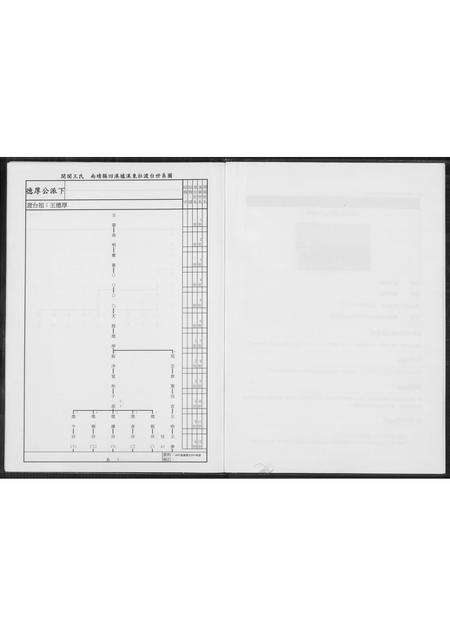 福建王氏族谱-北社尾王姓宗祠德厚公派下系谱.pdf电子版预览图3