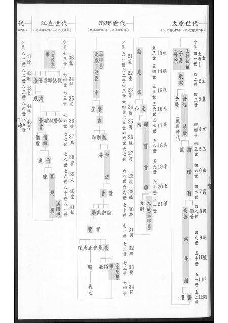 福建王氏族谱-南安王氏家乘.pdf电子版预览图3