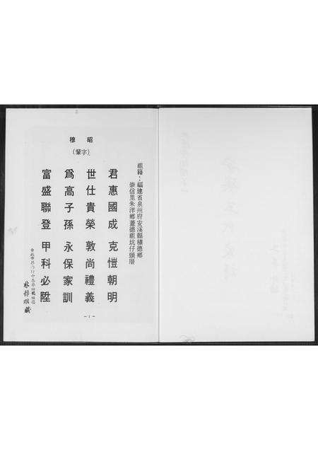 福建王氏族谱-安溪王氏家谱.pdf电子版预览图3