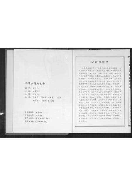 福建丁氏族谱-[丁氏](王己)派家谱.pdf电子版预览图3