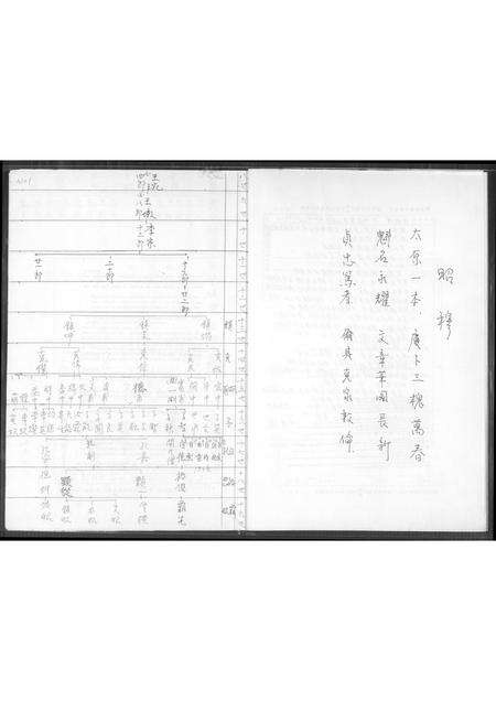 福建王氏族谱-灞西温陵王氏世谱抄本.pdf电子版预览图3