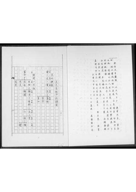 福建王氏族谱-王室受姓分柱谱图.pdf电子版预览图3