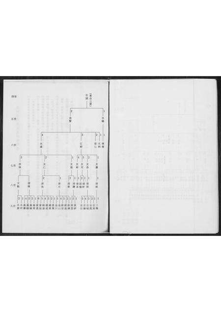 福建王氏族谱-[王氏]太原族谱.pdf电子版预览图3