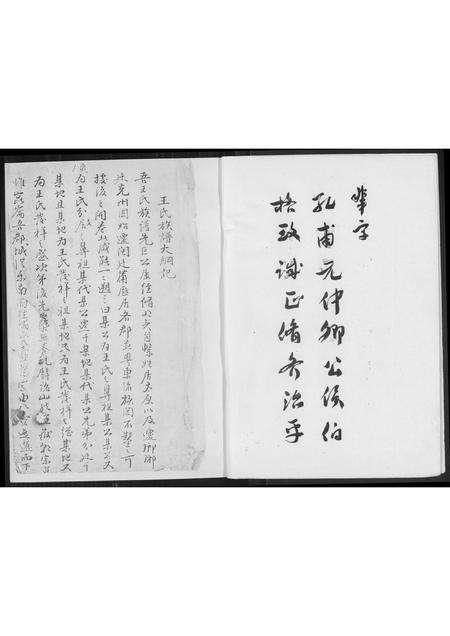 福建王氏族谱-[王氏]沙堤族谱.林柄村朝峯公派下.pdf电子版预览图3