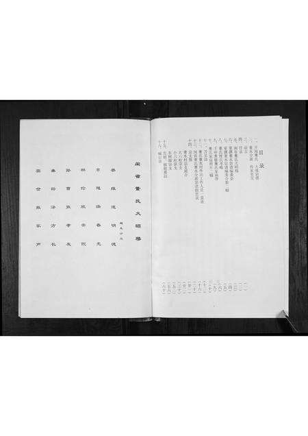 福建董氏族谱-董氏董水宗谱[不分卷].pdf电子版预览图3