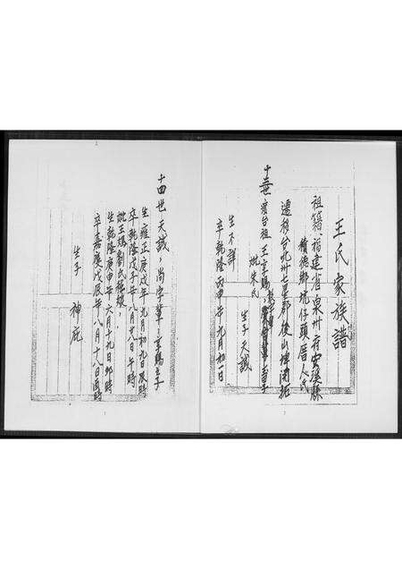 福建王氏族谱-王氏家谱.安溪派.pdf电子版预览图3