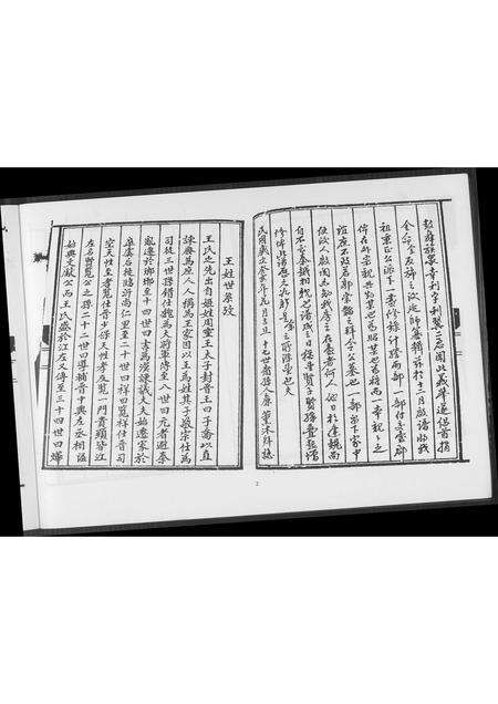 福建王氏族谱-王氏家谱霞泽三房派.pdf电子版预览图3