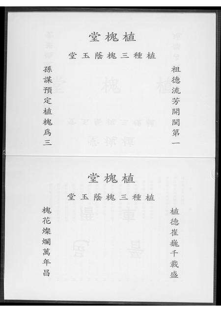 福建王氏族谱-王氏族谱.pdf电子版预览图3