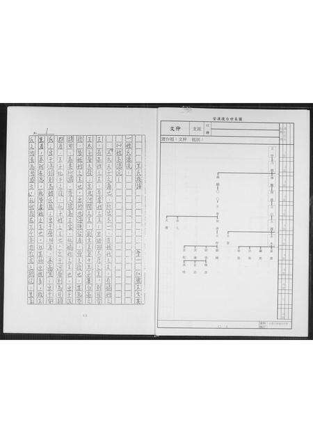 福建王氏族谱-王氏族谱.pdf电子版预览图3