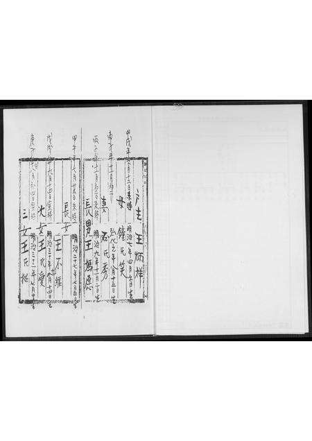 福建王氏族谱-王氏族谱.pdf电子版预览图3