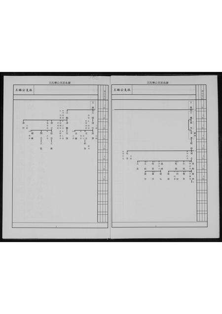 福建王氏族谱-王氏族谱.pdf电子版预览图3