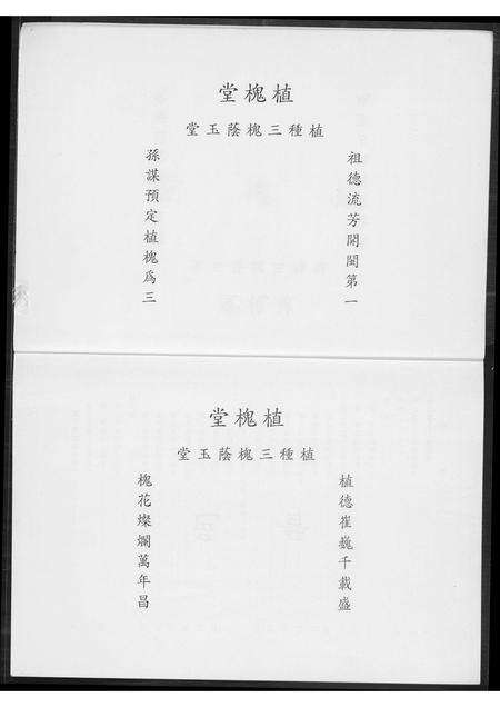 福建王氏族谱-王氏族谱.pdf电子版预览图3