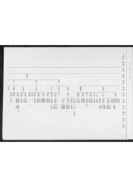福建王氏族谱-王氏族谱.平湖公禄盛公渡台祖派下.pdf电子版预览图3