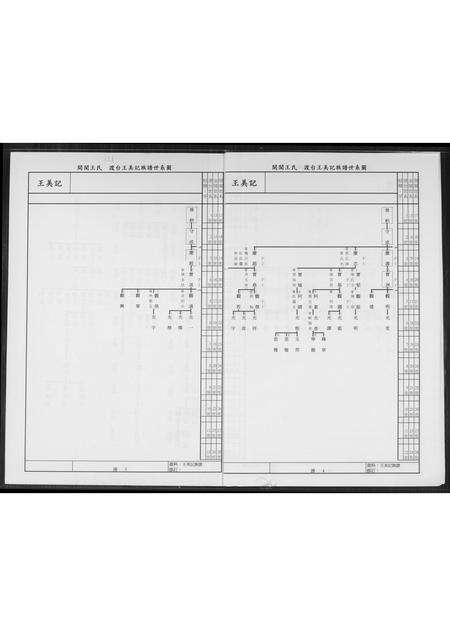 福建王氏族谱-王美记族谱.开闽金陵派渡台始祖尊炳公世系履历.pdf电子版预览图4