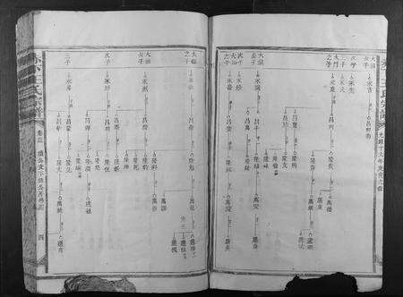 福建王氏族谱-赤下王氏宗谱.pdf电子版预览图4