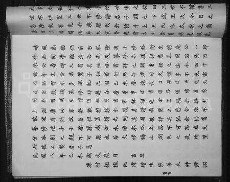 福建王氏族谱-王氏族谱.pdf电子版预览图4