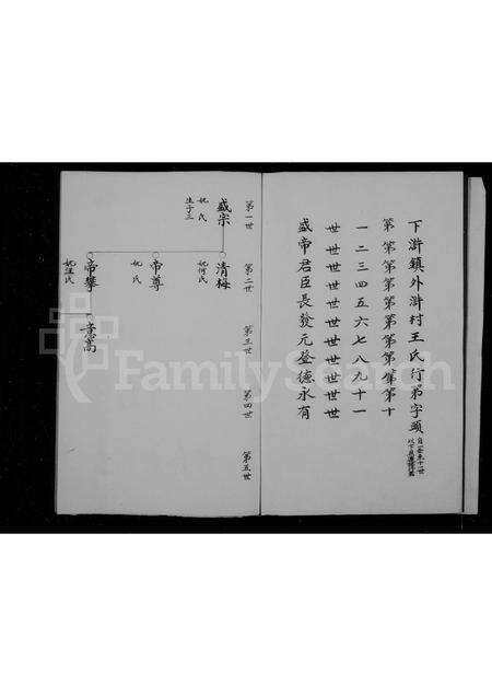 福建王氏族谱-太原郡王氏支谱.pdf电子版预览图4