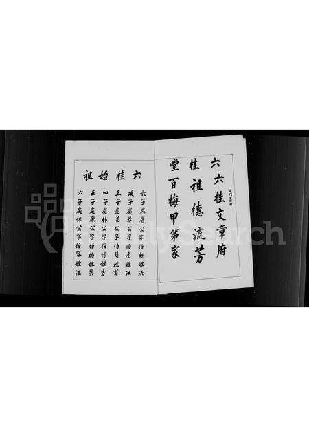 福建翁氏族谱-[翁氏]家族简谱.pdf电子版预览图4