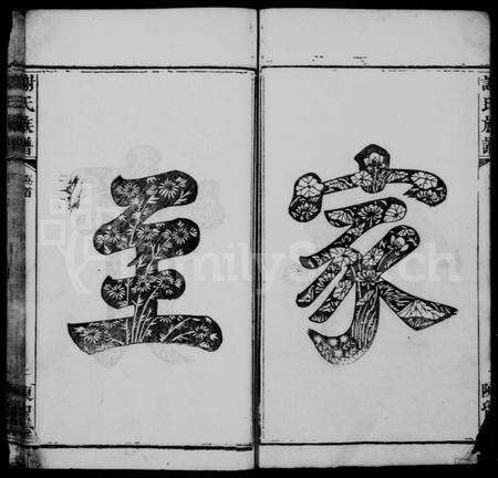 福建谢氏族谱-谢氏族谱 [38卷,及卷首].pdf电子版预览图4