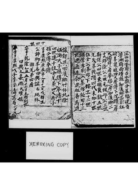 福建徐氏族谱-南靖徐氏族谱.pdf电子版预览图4