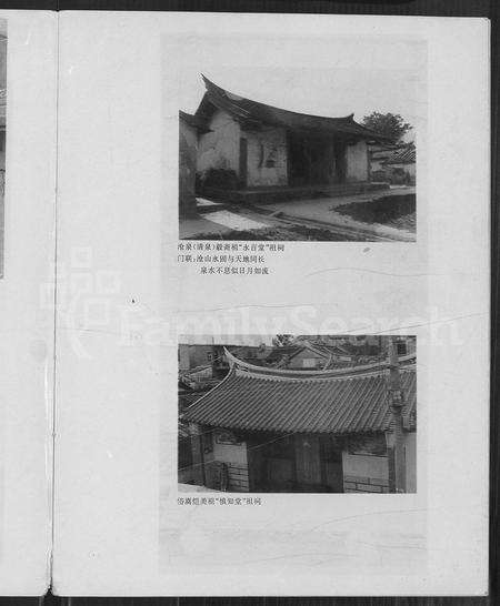 福建杨氏族谱-福建漳浦佛昙杨氏世隆衍系长,三房族谱.pdf电子版预览图4