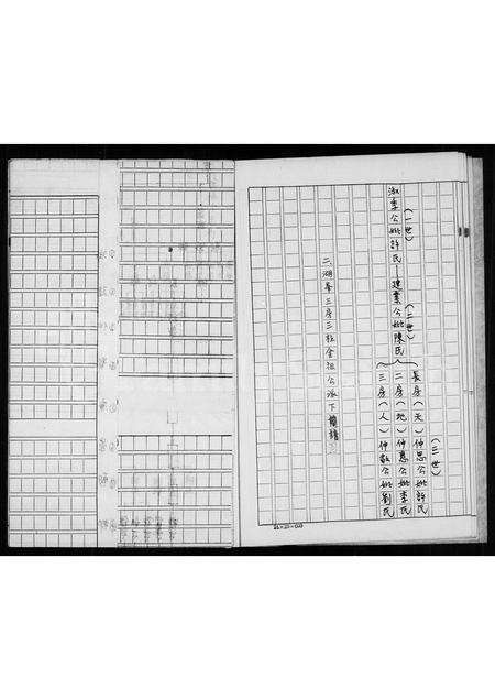 福建杨氏陈氏族谱-金门湖峰杨氏族谱金门水头陈氏渊源.pdf电子版预览图4