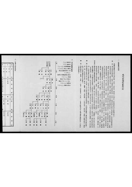 福建云氏族谱-云恩世系表.pdf电子版预览图4