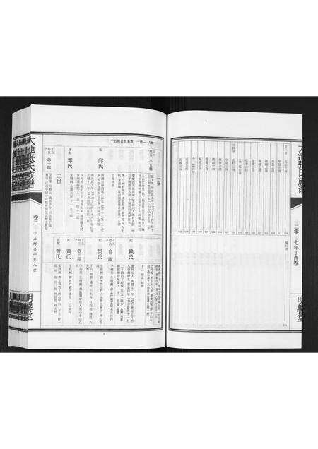 福建张氏族谱-大池张氏族谱[2卷].pdf电子版预览图4