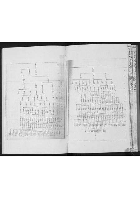福建张氏族谱-[张氏]清河金鱼世谱.pdf电子版预览图4
