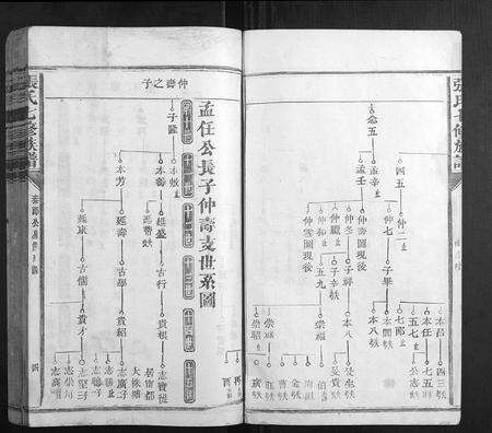 福建张氏族谱-张氏七修族谱.pdf电子版预览图4