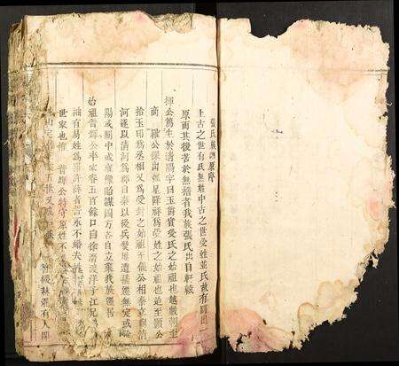 福建张氏族谱-张氏族谱.pdf电子版预览图4