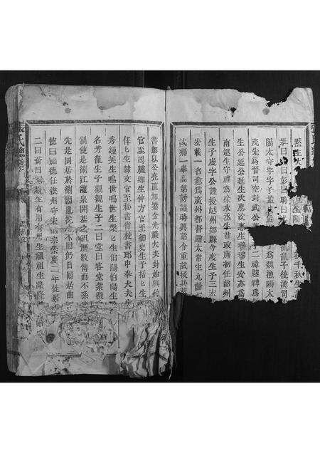 福建张氏族谱-张氏总谱.pdf电子版预览图4