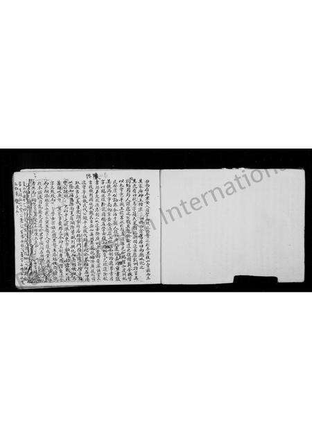 福建张氏族谱-金门金砂二房张氏房谱 [残卷].pdf电子版预览图4