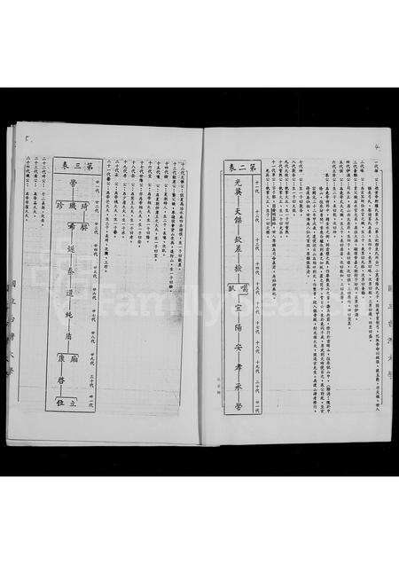 福建张氏族谱-张氏大宗谱.pdf电子版预览图4